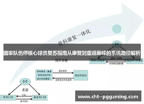 国家队伤停核心球员复苏指南从康复到重返巅峰的系统路径解析
