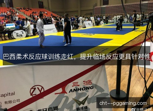 巴西柔术反应球训练走红,提升临场反应更具针对性 巴西柔术反应球训练走红,提升临场反应更具针对性